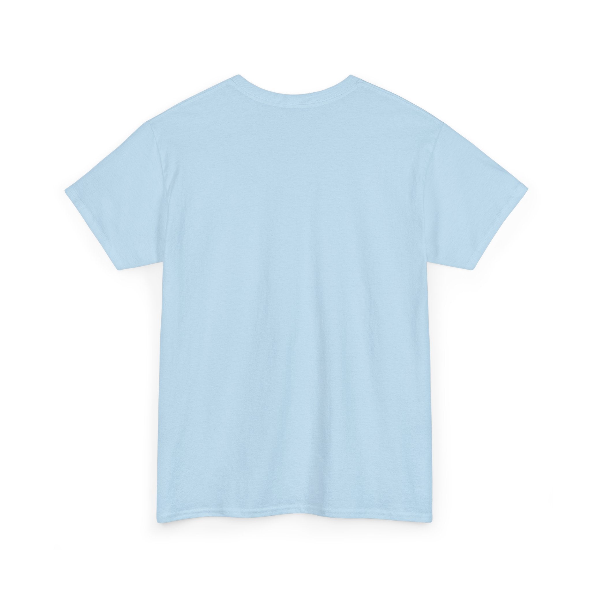 GMR Unisex Vintage Radio Heavy Cotton Tee