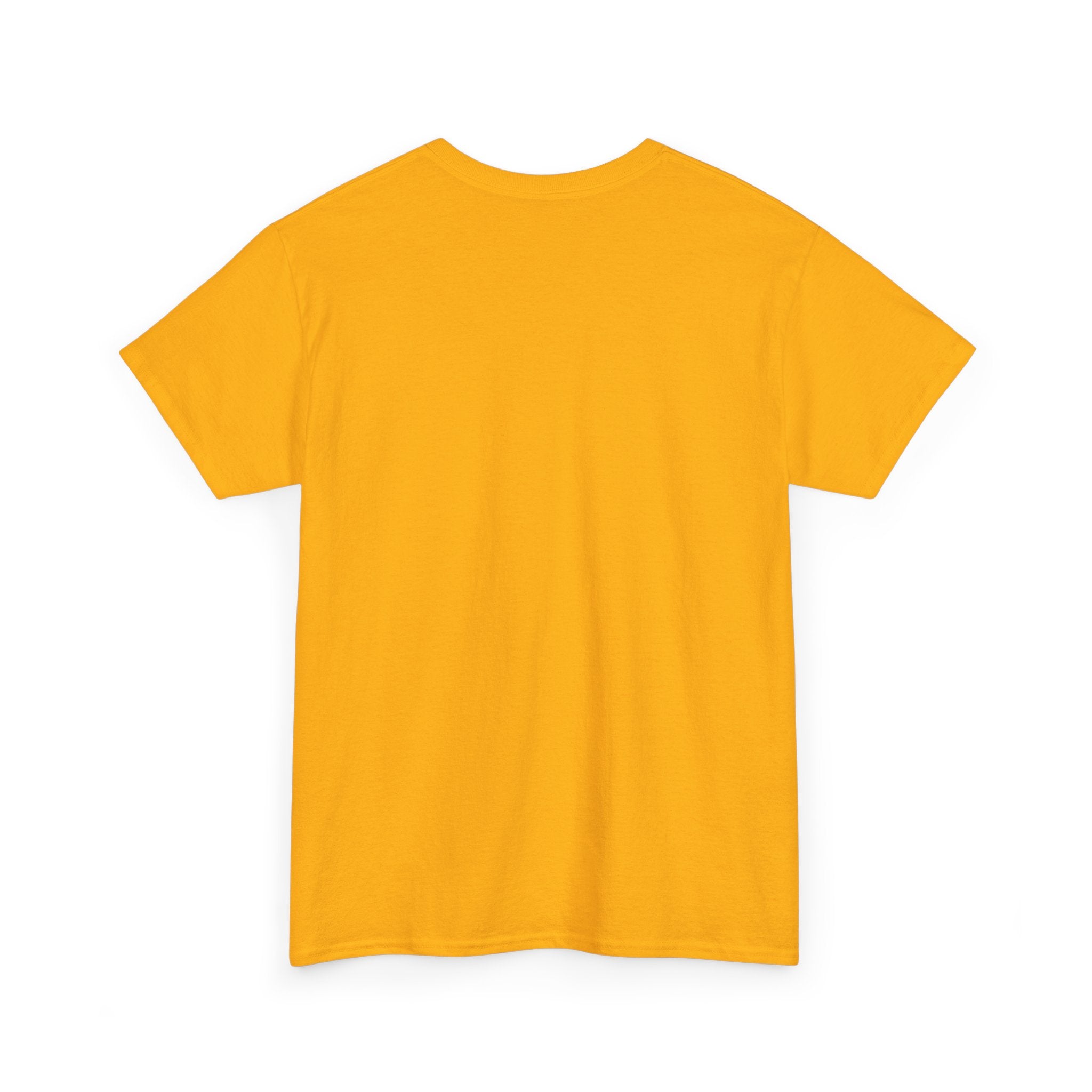 GMR Unisex Vintage Radio Heavy Cotton Tee
