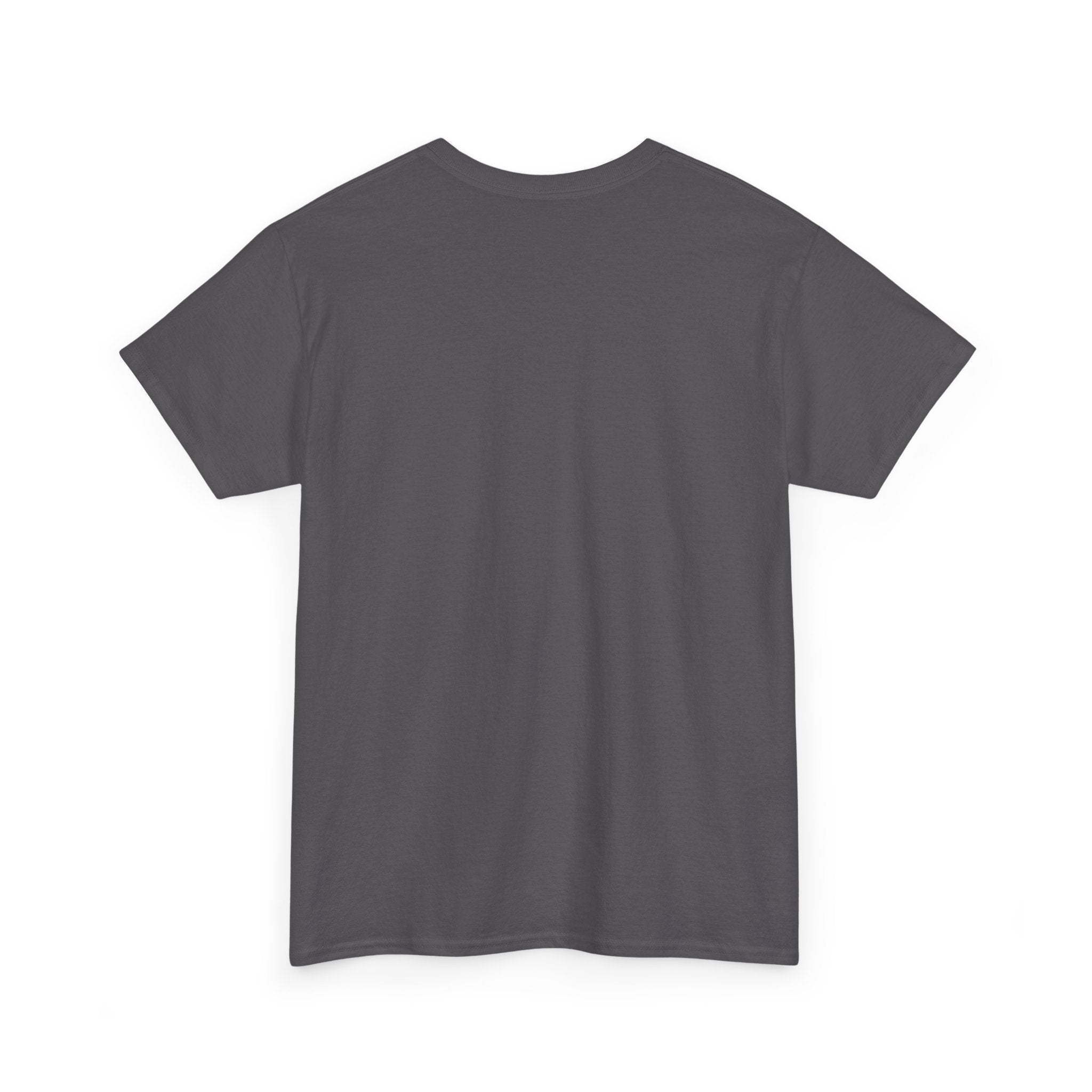 GMR Unisex Vintage Radio Heavy Cotton Tee