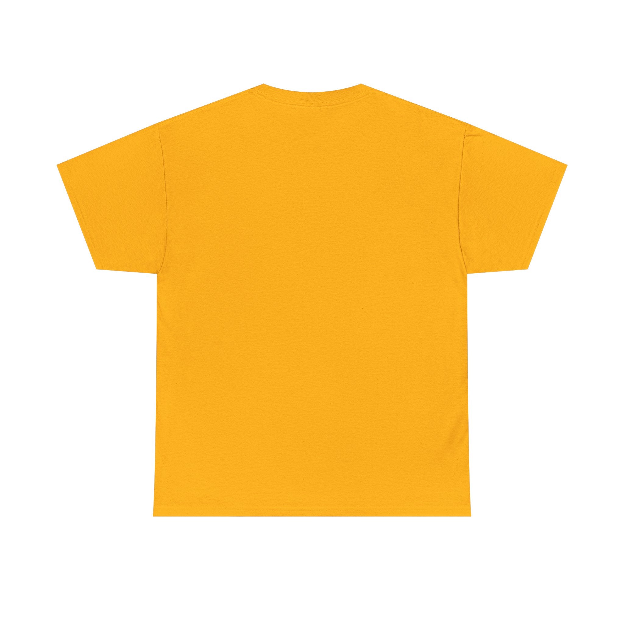GMR Unisex Vintage Radio Heavy Cotton Tee