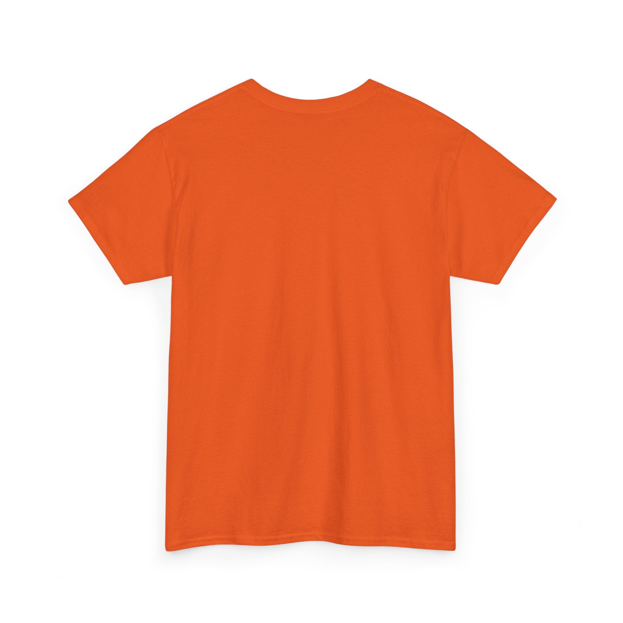 GMR Unisex Vintage Radio Heavy Cotton Tee