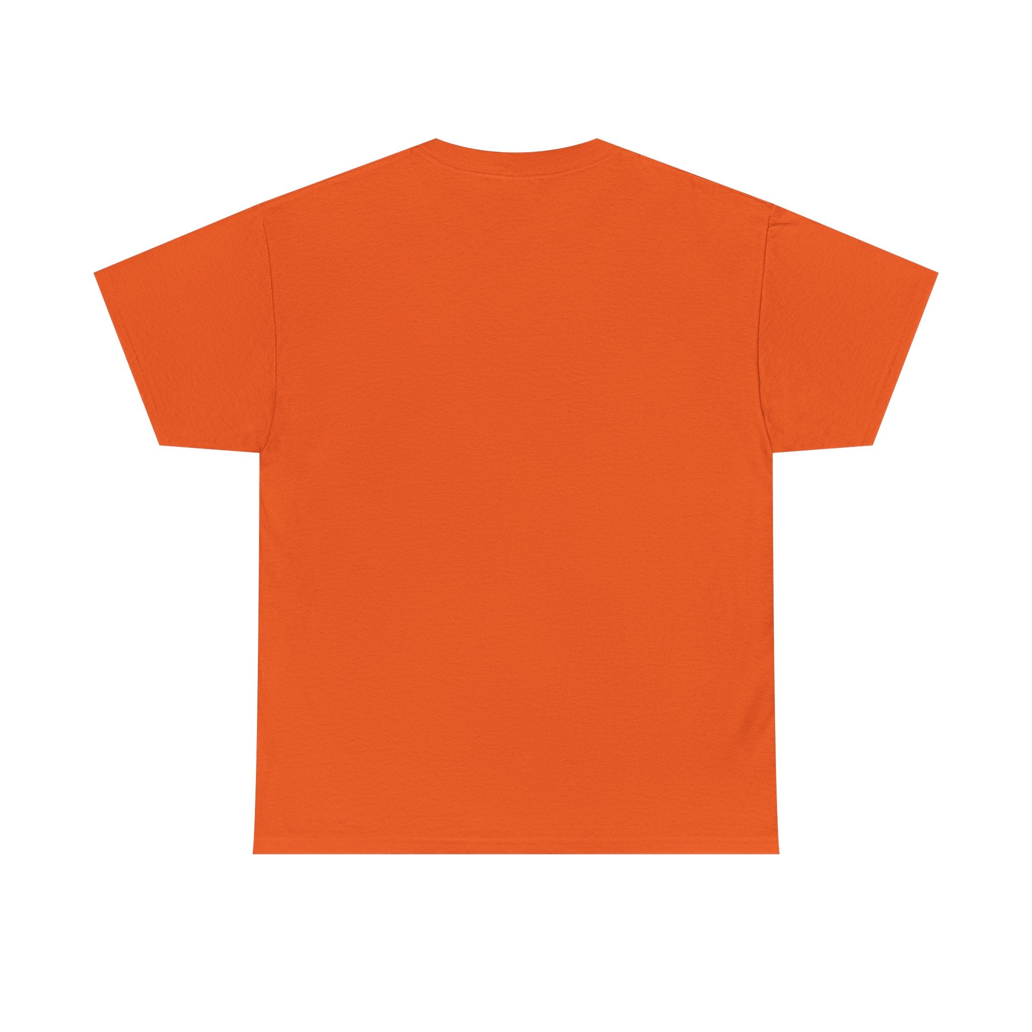 GMR Unisex Vintage Radio Heavy Cotton Tee