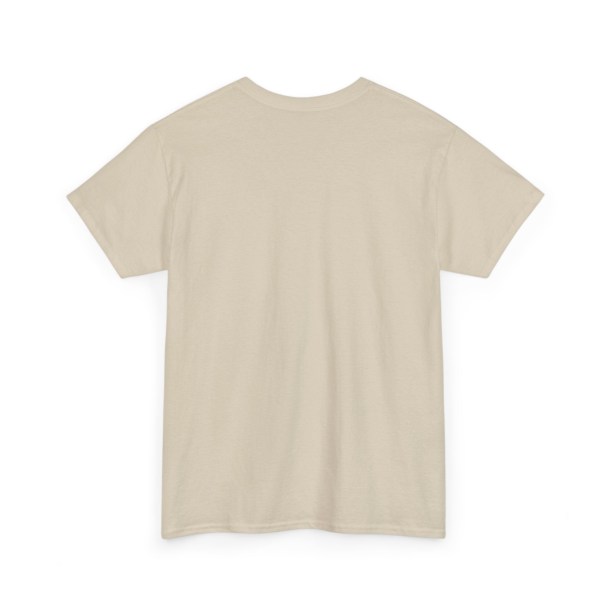 GMR Unisex Vintage Radio Heavy Cotton Tee