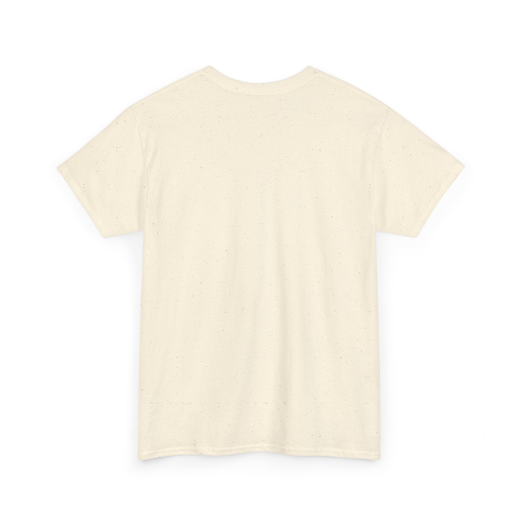GMR Unisex Vintage Radio Heavy Cotton Tee