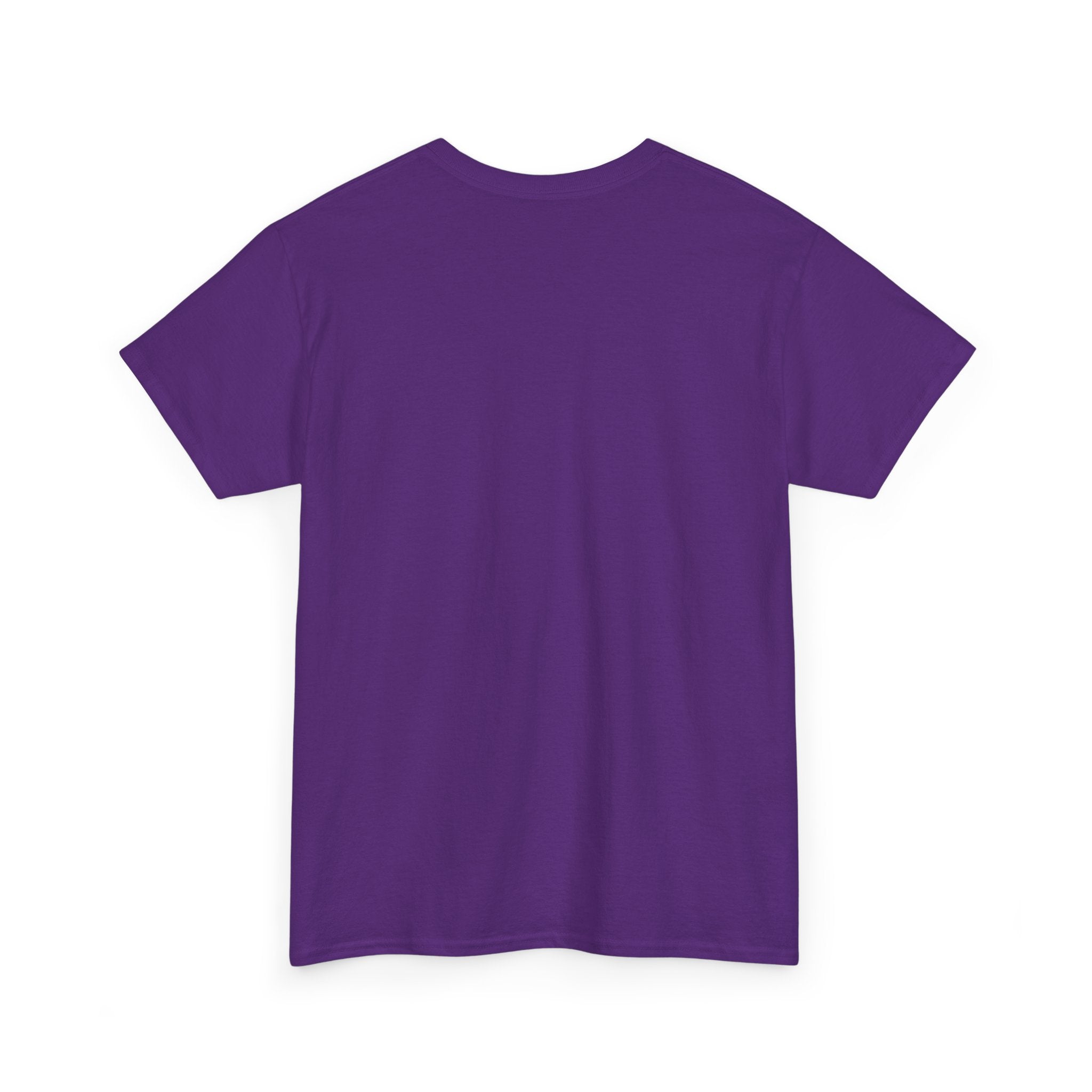 GMR Unisex Vintage Radio Heavy Cotton Tee